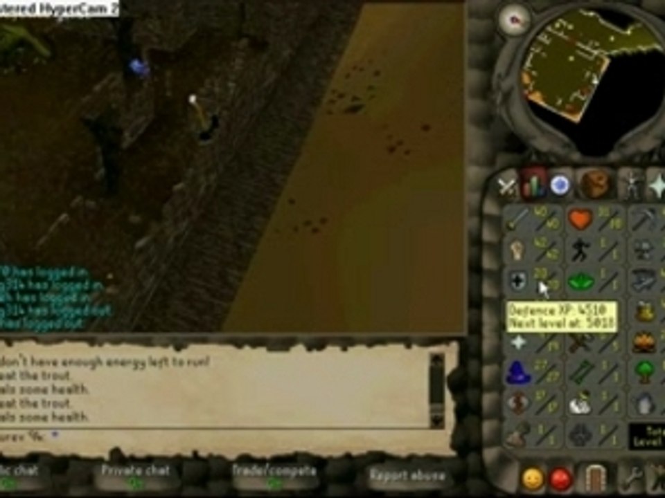 Dragon Slayer