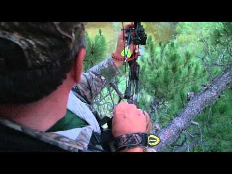 Intrepid Outdoors - Wyoming Elk
