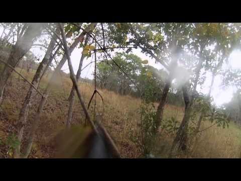 Relentless Pursuit - Mozambique Holding Pigs