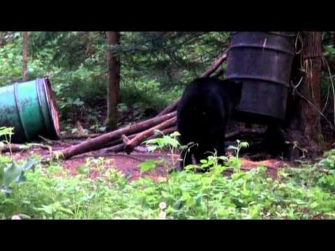 Hitmen Canada - 3 for 3