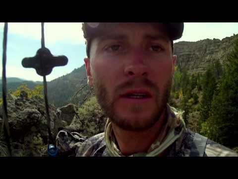 Intrepid Outdoors - Public Land Bulls