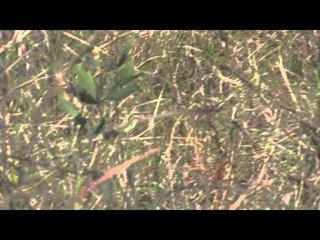 Relentless Pursuit  - Hard to Kill - Part 3