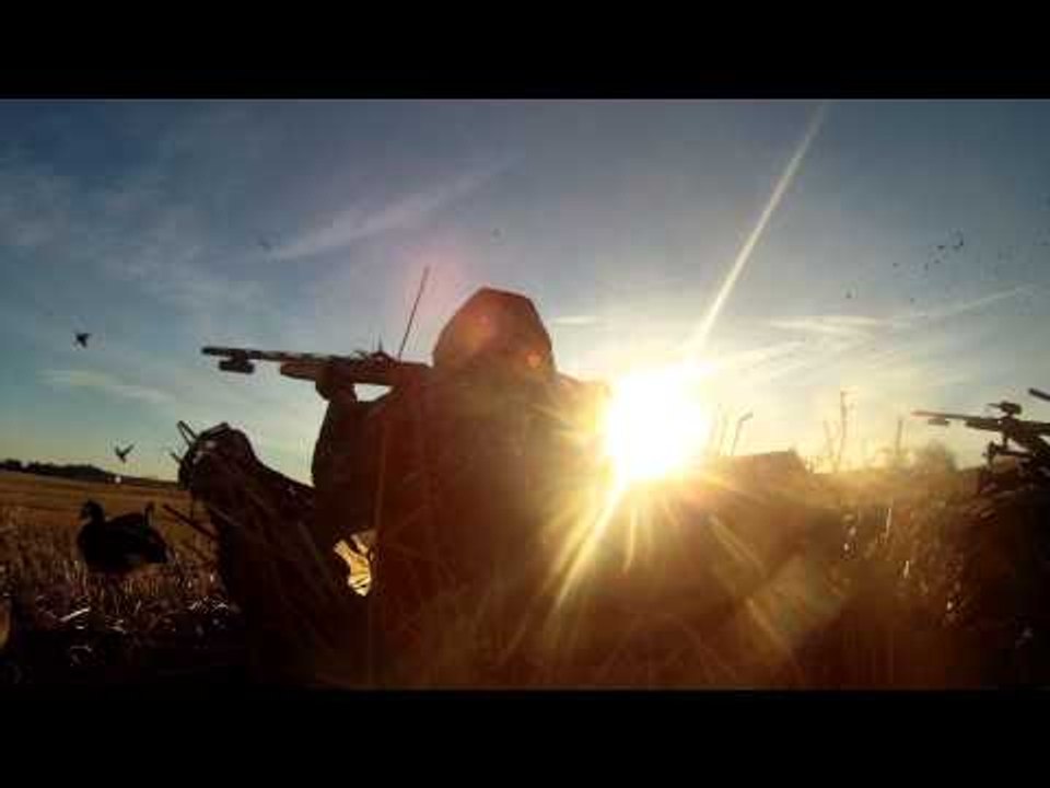 Mojo TV - Canadian Dreams in Ranchland Part 1