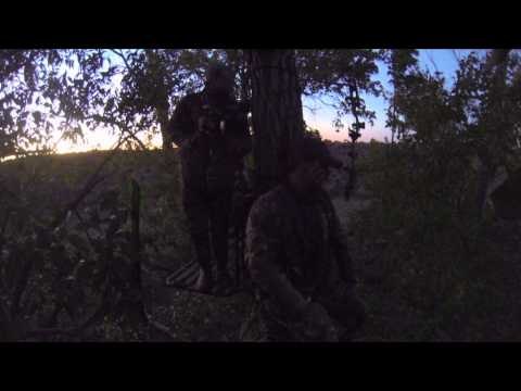 Buck Ventures Outdoors - Realtree in Camp