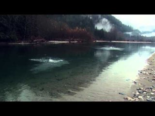 Sportfishing Adventures - Kipp on the Pitt