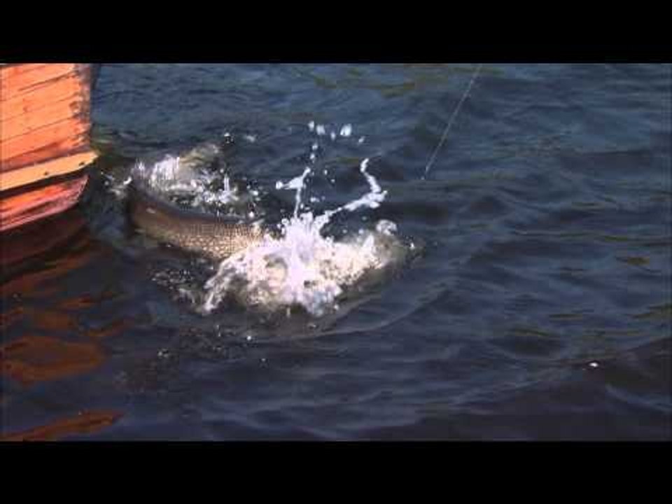 Canadian Sportfishing - Casting for Trophy Pike