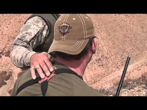 Headhunter Chronicles - Iran