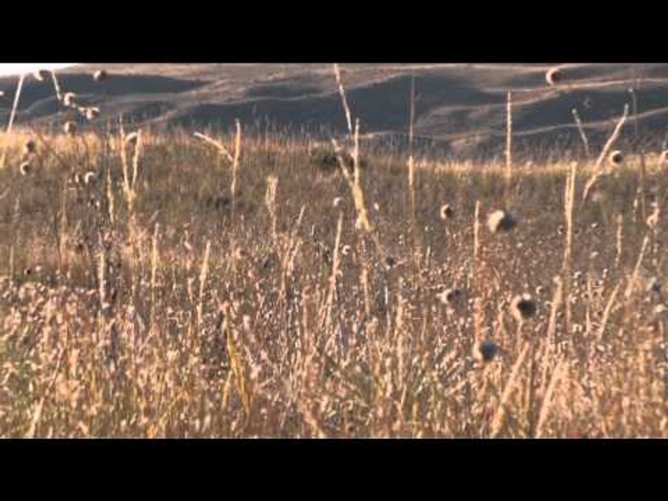 Buck Ventures Outdoors  - Travel Abroad