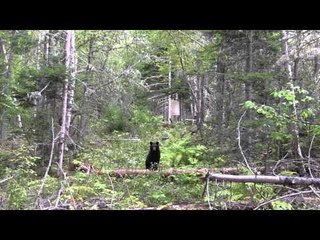 Hard Core Hunter - Getting Ready for Bear Season