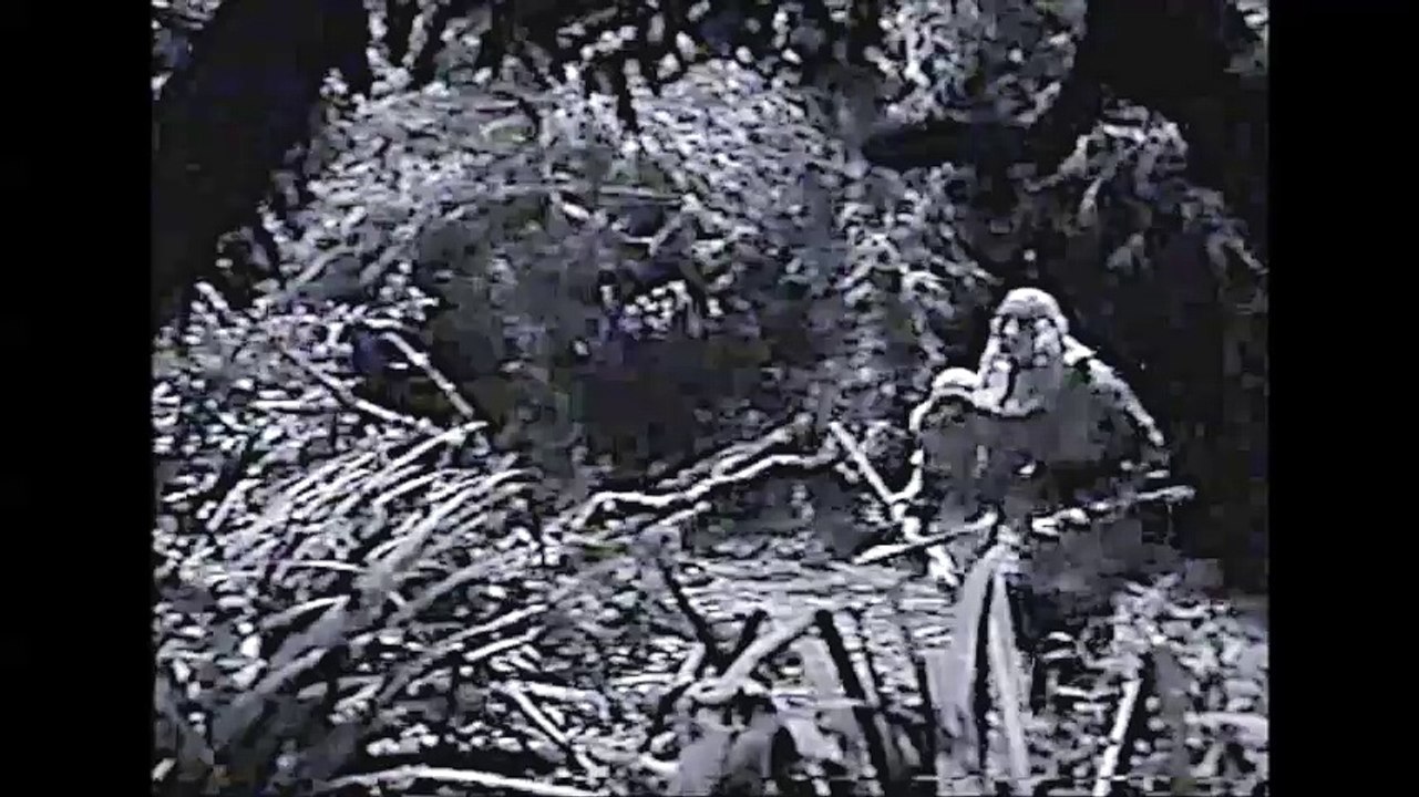 Tarzan the Tiger Chapter 2
