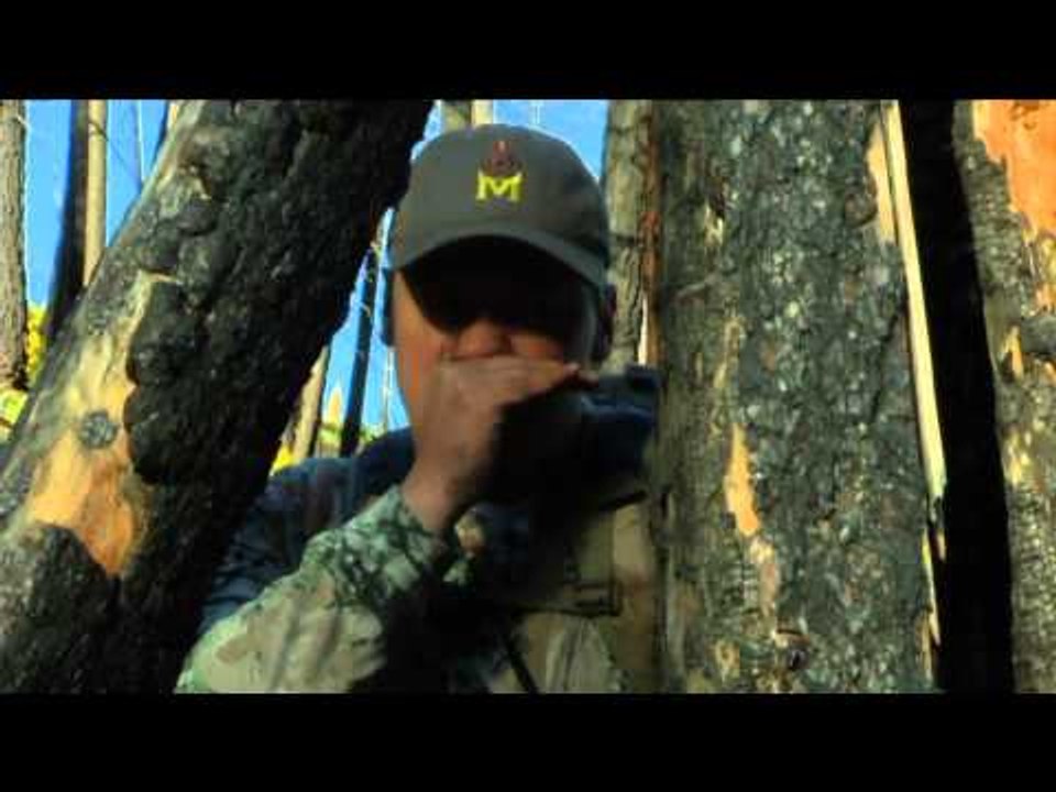 The Zone - Saskatchewan Black Bear/ New Mexico Elk