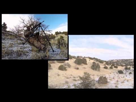 Predator Nation - Double Dipping on Predators