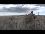 Predator Quest  - Eastern Colorado Coyotes are in for it!