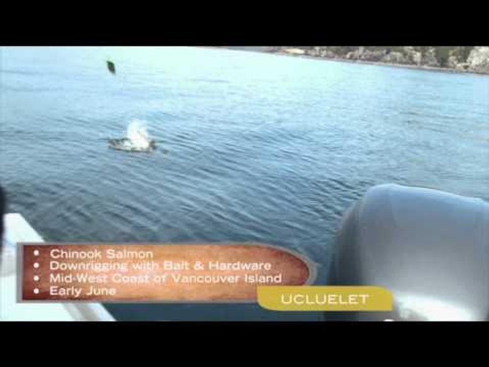 BC Outdoors Sport Fishing - Early Run Salmon