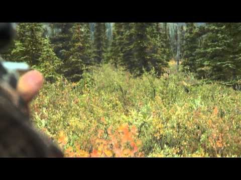 Babe Winkelman's Outdoor Secrets - Arctic Field of Muskox Dreams Part 2