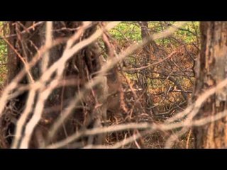 Yeti's Ultimate Hunt - Rick Carone Part 1