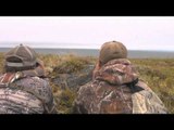 Babe Winkelman's Outdoor Secrets - Arctic Field of Muskox Dreams