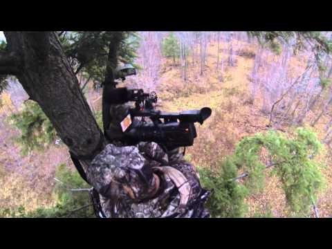 Hardcore Pursuit - Rut Action In The North