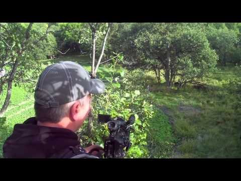 Intrepid Outdoors - Wyoming Whitetails