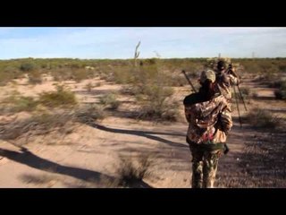Where in the World is Colorado Buck?  - Sonora Dark Horn Adventures