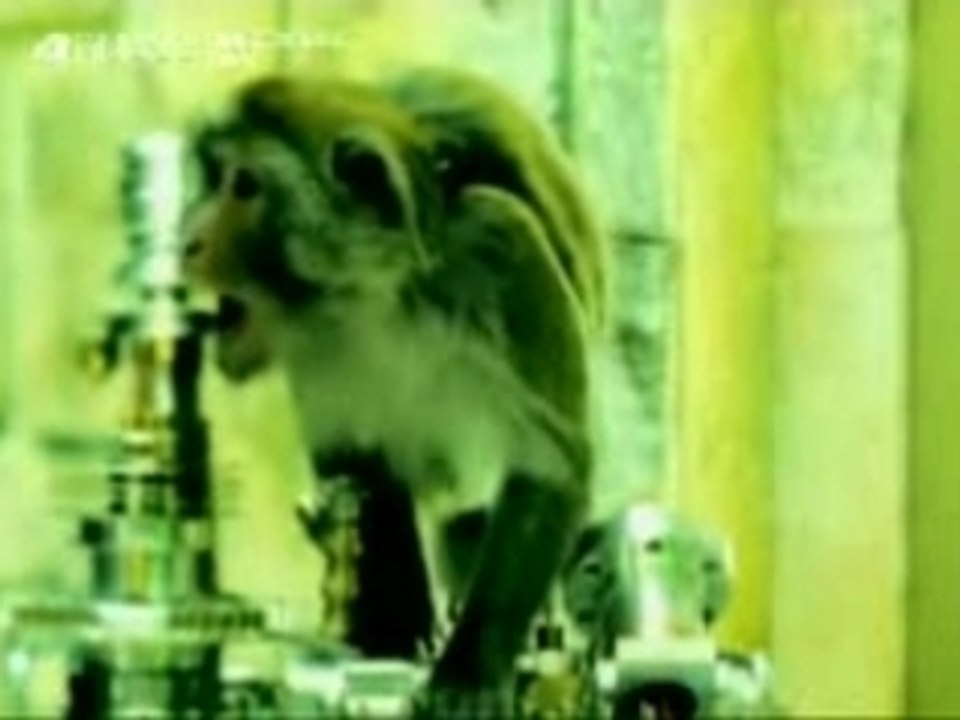 Catatonia - Road Rage