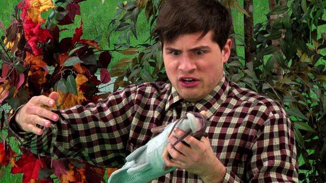 IF REALITY SHOWS WERE REAL