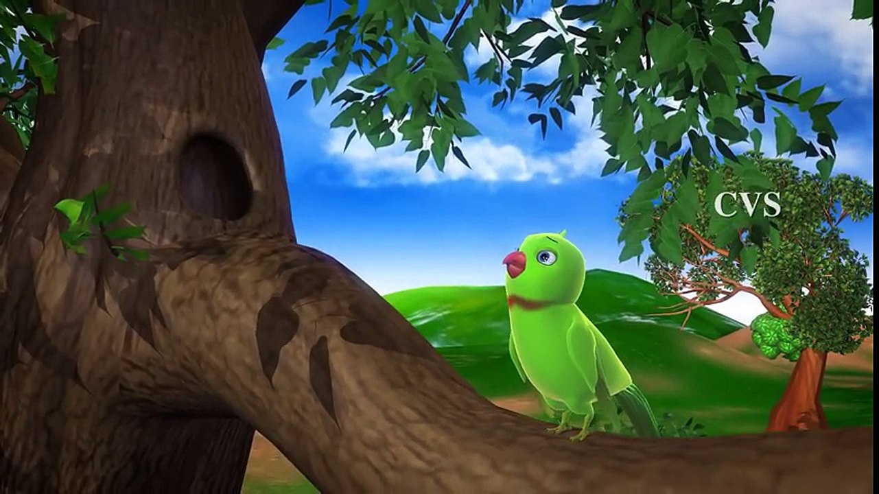Chitti Chilakamma - Parrots 3D Animation Telugu Rhymes For children with lyrics