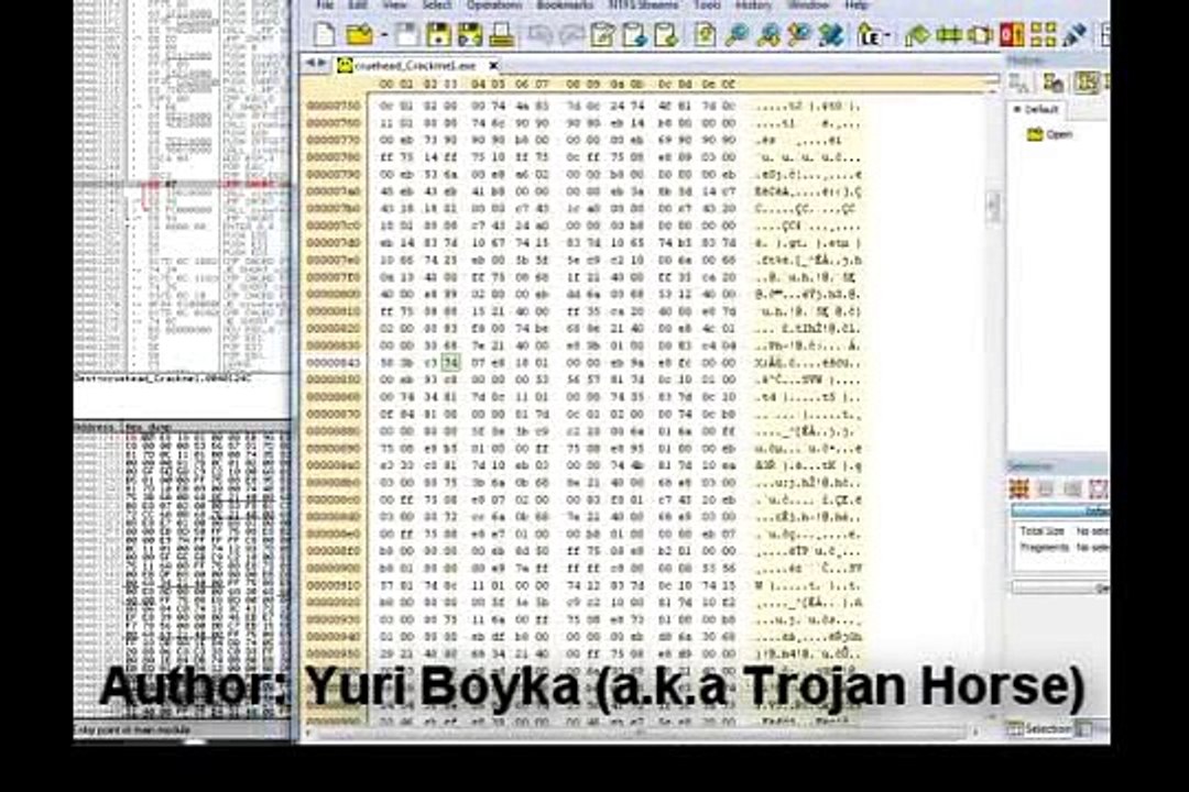 C# and Assembler_clip12