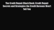 PDF The Credit Repair Black Book: Credit Repair Secrets and Strategies the Credit Bureaus Won't