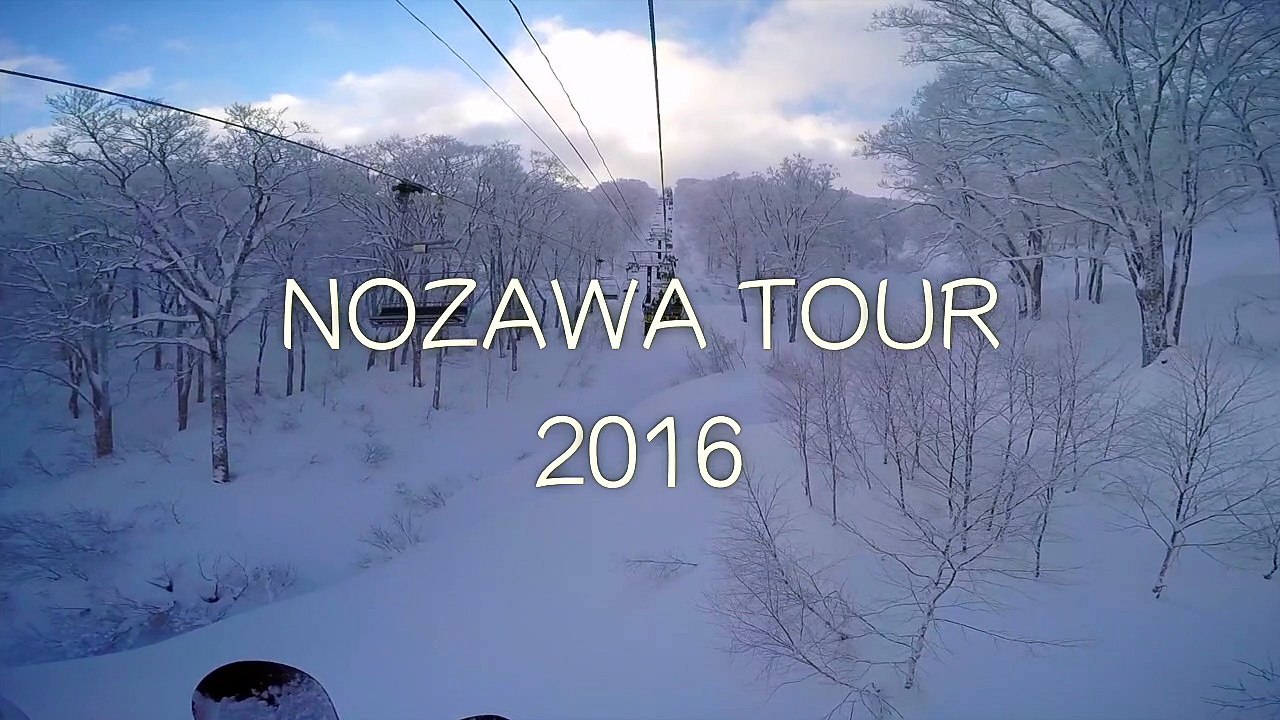 Nozawa 2016