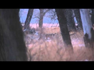 North American Hunter - Weathering Whitetails