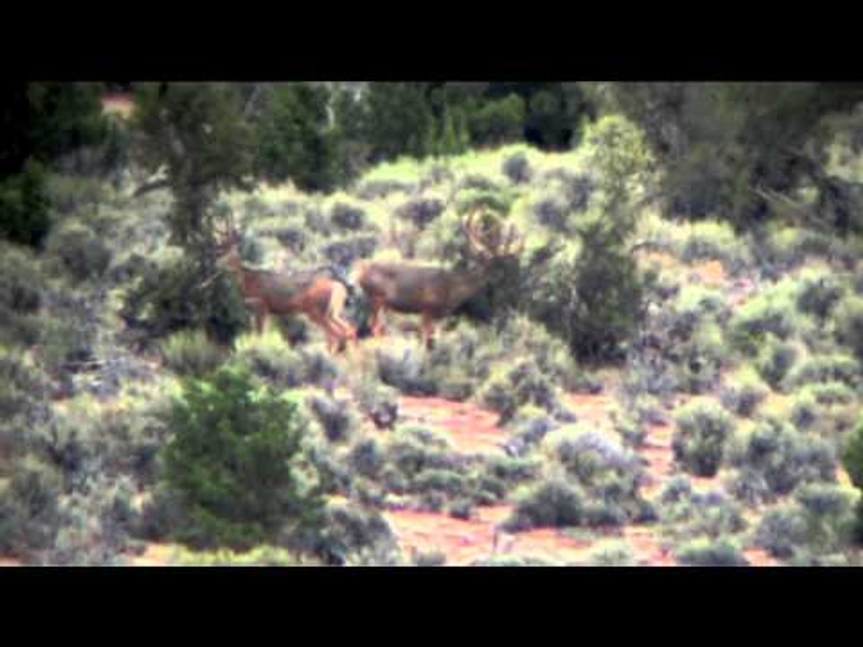 Ridge Reaper TV - Desert Ghosts