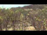Flatliners - Namibia Part 2: Rain