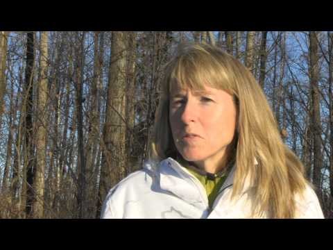 No Limits TV - Alberta Bighorn Sheep