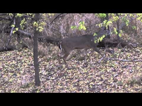 Outdoor Edge Love of the Hunt - Kansas Part 3