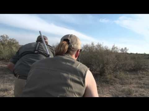 Outdoor Quest TV - African Sable