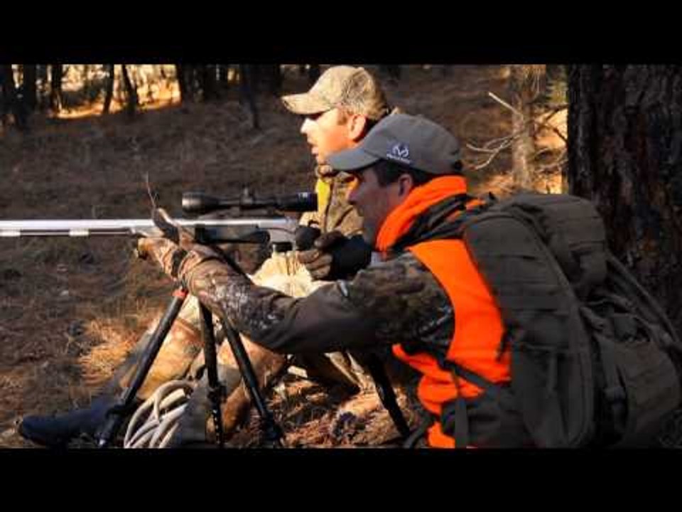 The Zone Run and Gun Whitetails video Dailymotion