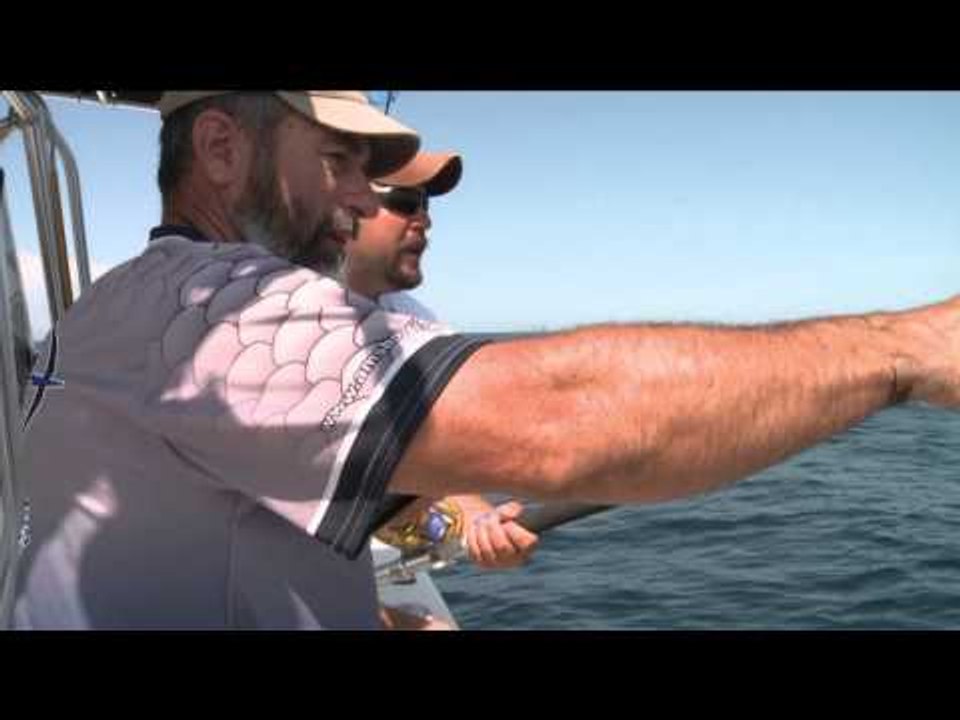 Innerloc's Out There - Dropping Jaws