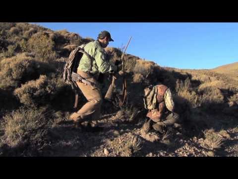 Swarovski Optik Quests with the Eyes of a Hawk - Argentina Red Stag