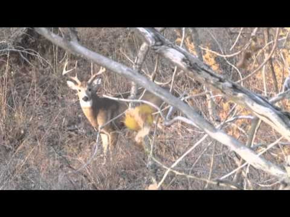 Buck Ventures Outdoors  - Borderliners