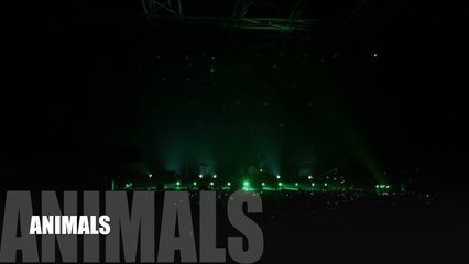 MAROON 5 -  LIVE - Zenith - Paris