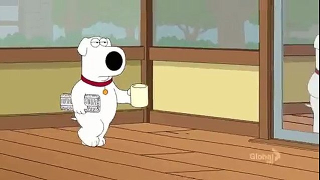 Family Guy Brians Reflection