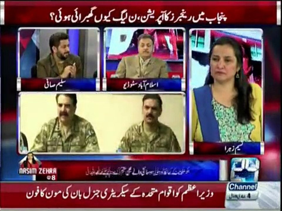 Saleem Safi taunts Prime Minister over National Action Plan