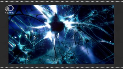 Our Brains Can Store 10x More Than We Thought!