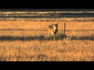 North American Hunter - Late Season Conundrum