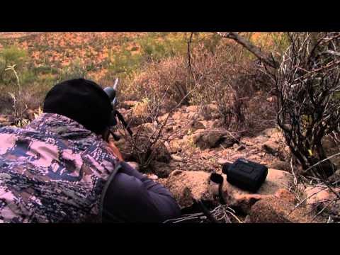 Long Range Pursuit - Giant Coues Deer in Sonora Mexico