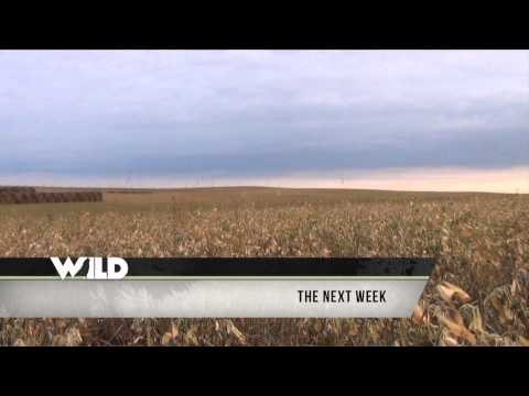 Silent Draw Outdoors - Ohio Whitetail and Montana Triple Threat