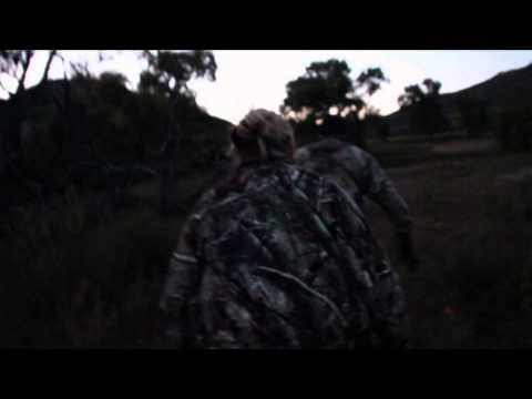 Where in the World is Colorado Buck? - Samantha's First Elk