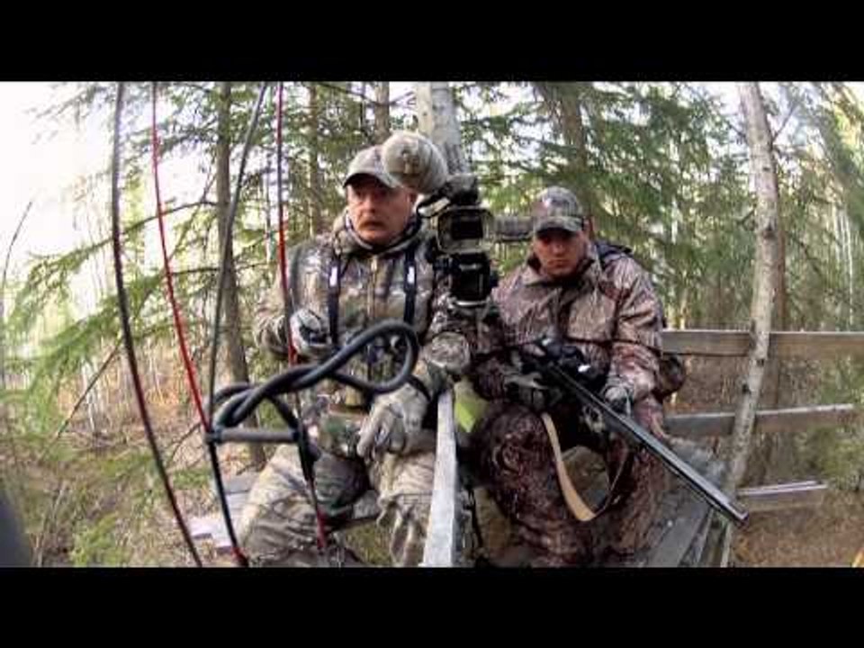 Trigger Effect - BC vs. MB Part 1