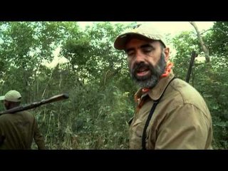 Hornady's Dark and Dangerous - Cameroon Eland and Tanzania Lion